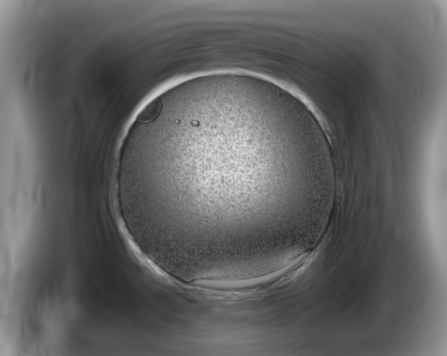 X0000086231534200704121906