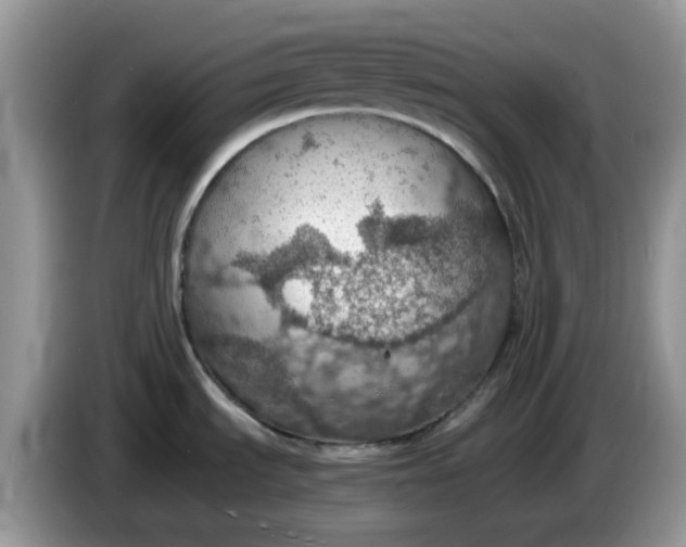 X0000086231535200704121906