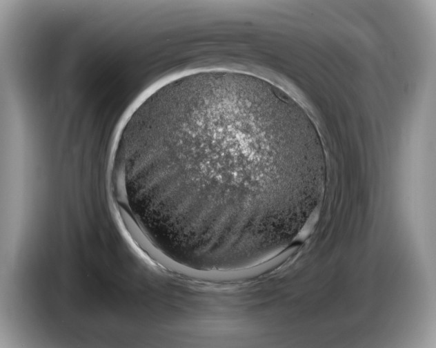 X0000086231536200704121906