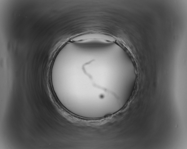 X0000086230001200704191810