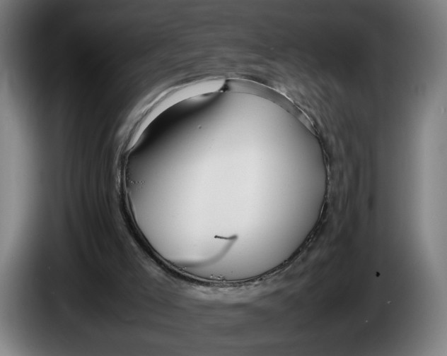 X0000086230005200704191809