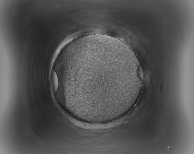 X0000086230006200704191809