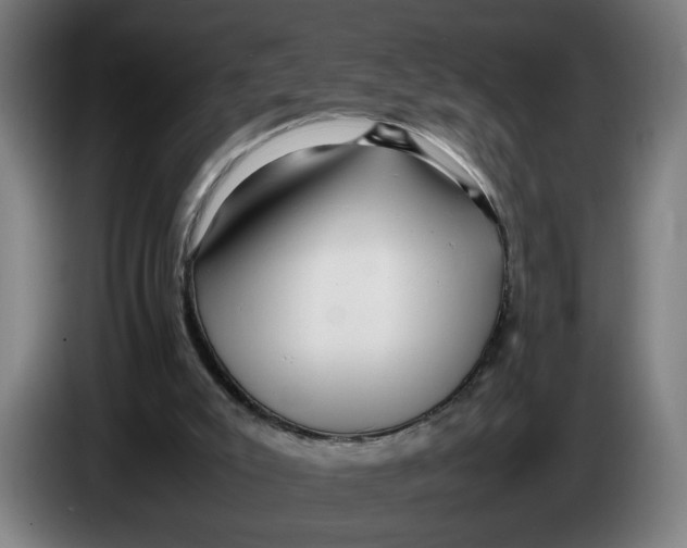 X0000086230007200704191809