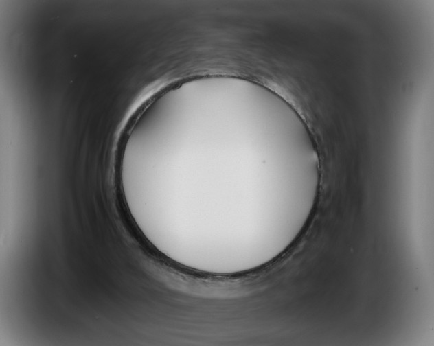 X0000086230008200704191809