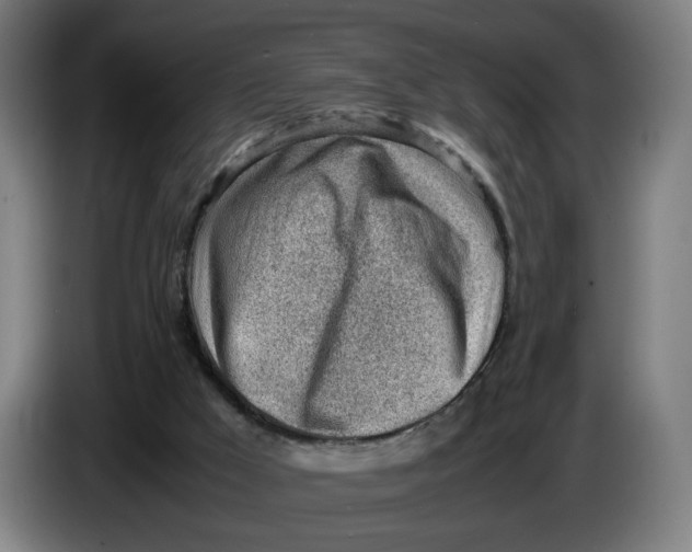 X0000086230009200704191809