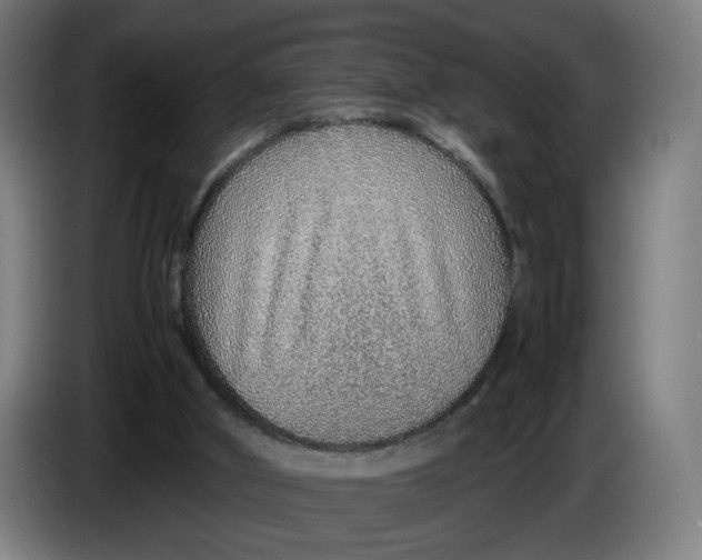 X0000086230010200704191809