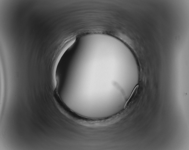 X0000086230013200704191809