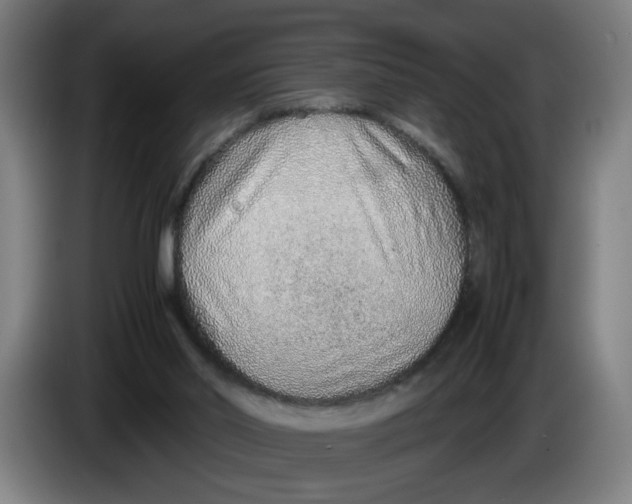 X0000086230014200704191809