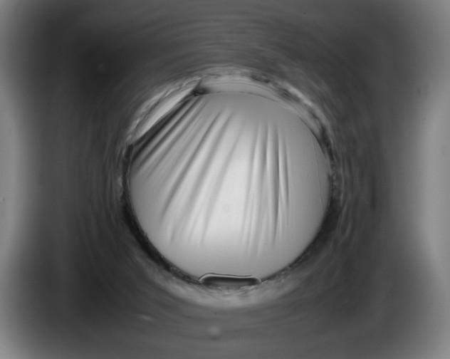 X0000086230015200704191809