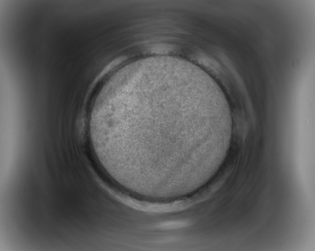 X0000086230016200704191809