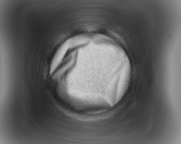 X0000086230018200704191809