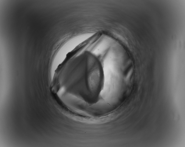 X0000086230019200704191809