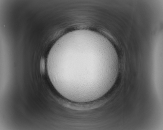 X0000086230022200704191809