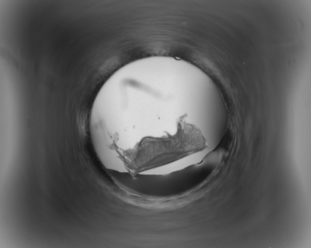 X0000086230023200704191809