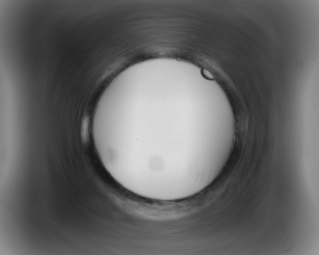 X0000086230024200704191809