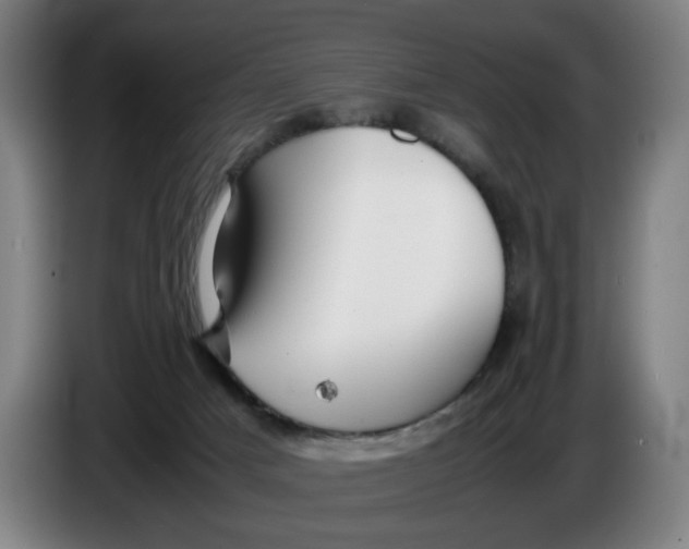 X0000086230025200704191809