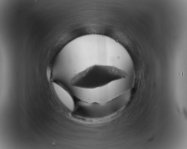 X0000086230027200704191809