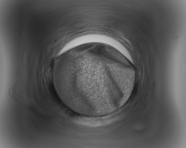 X0000086230029200704191809