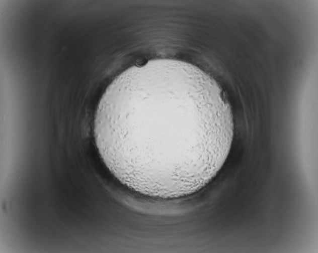 X0000086230032200704191809