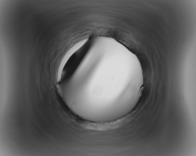 X0000086230033200704191809