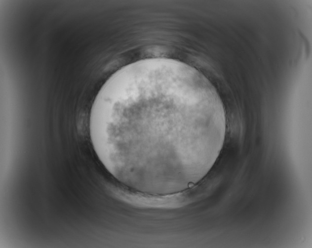 X0000086230036200704191809