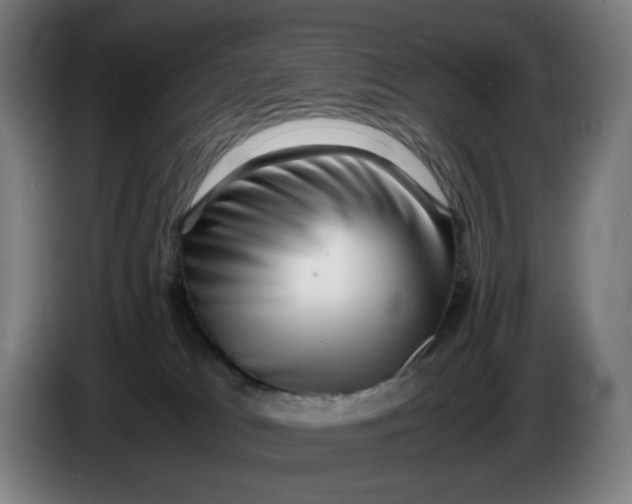 X0000086230037200704191809