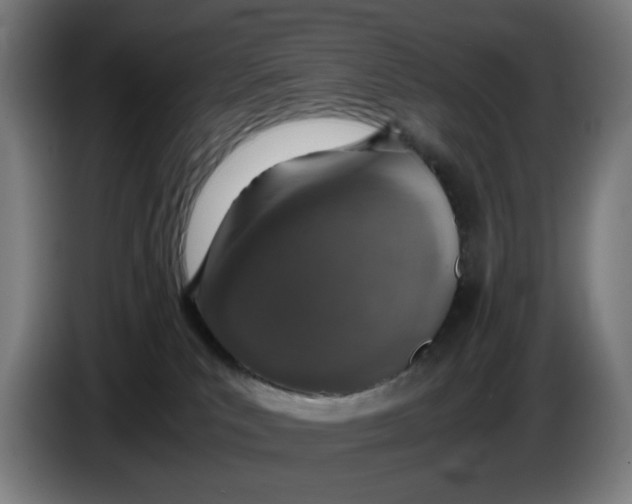 X0000086230039200704191809