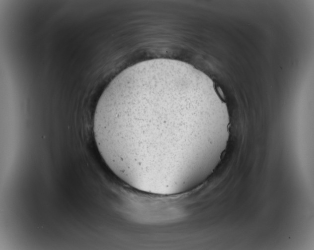 X0000086230040200704191809