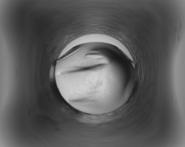 X0000086230041200704191809