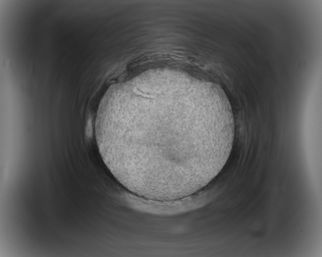 X0000086230042200704191809