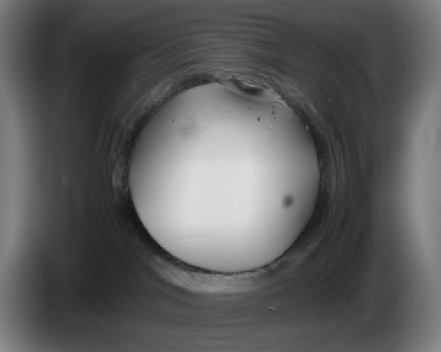 X0000086230044200704191809