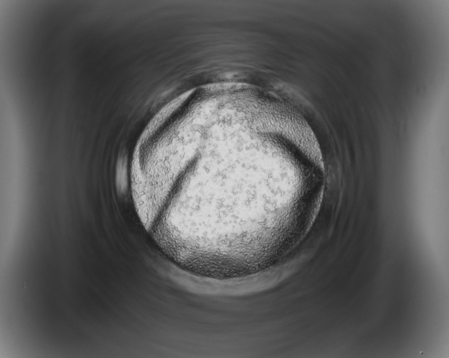 X0000086230046200704191809