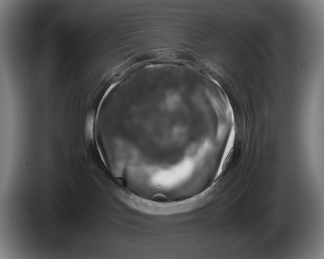 X0000086230047200704191809