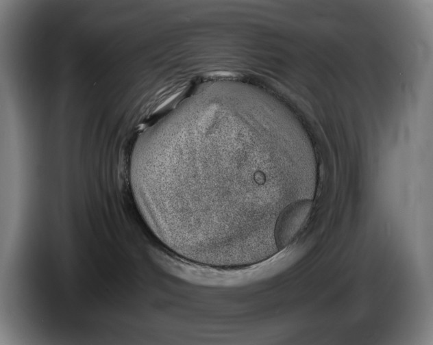 X0000086230048200704191809