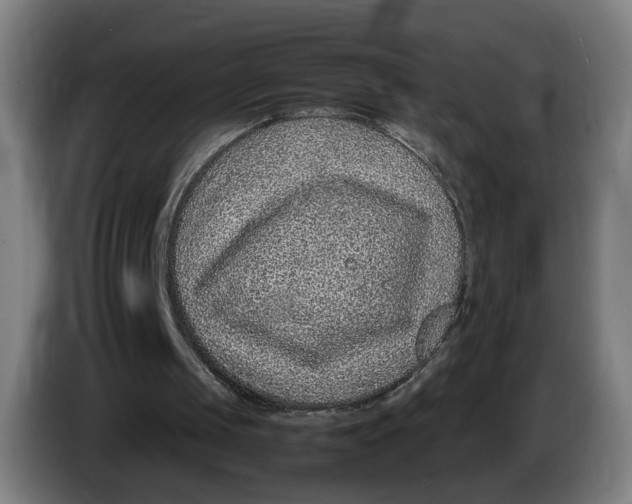 X0000086230049200704191808