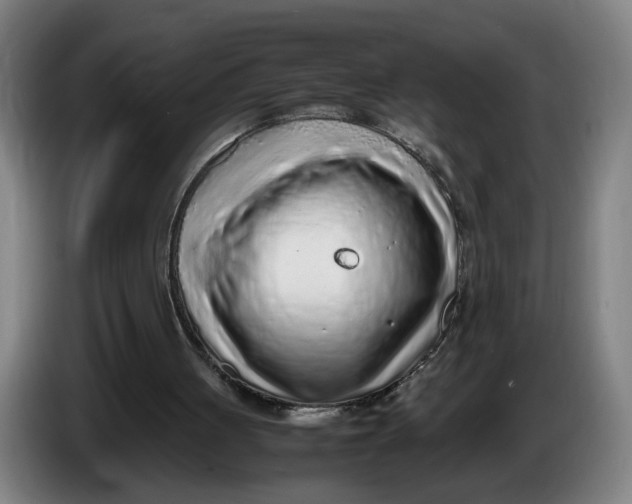 X0000086230051200704191808