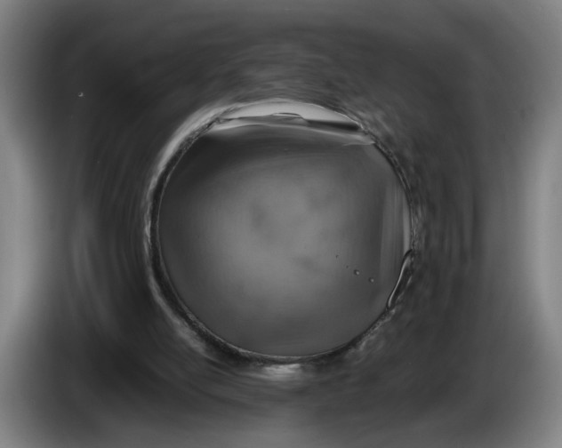 X0000086230054200704191808