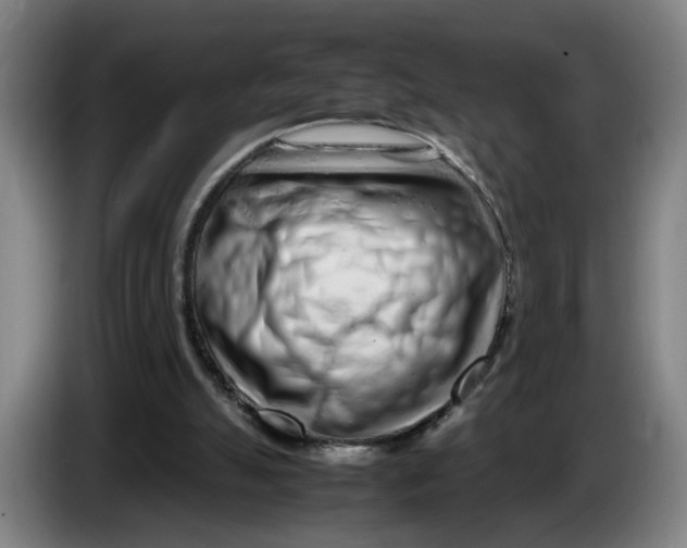 X0000086230055200704191808