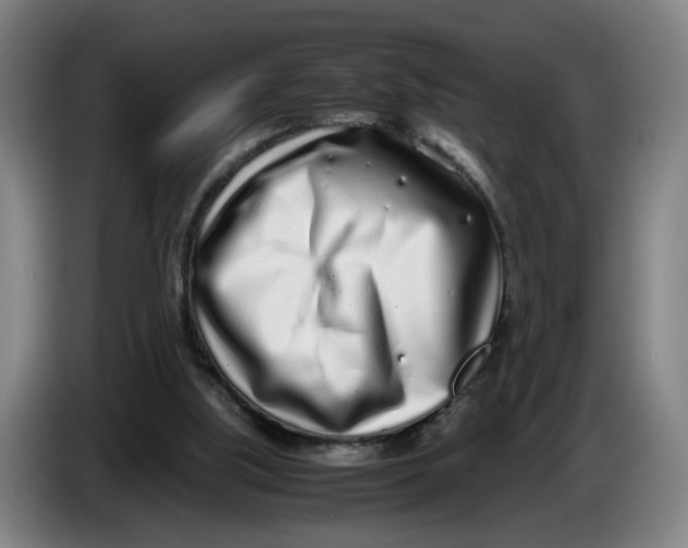 X0000086230059200704191808