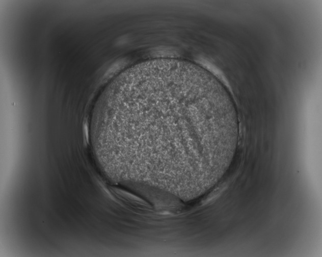 X0000086230061200704191808