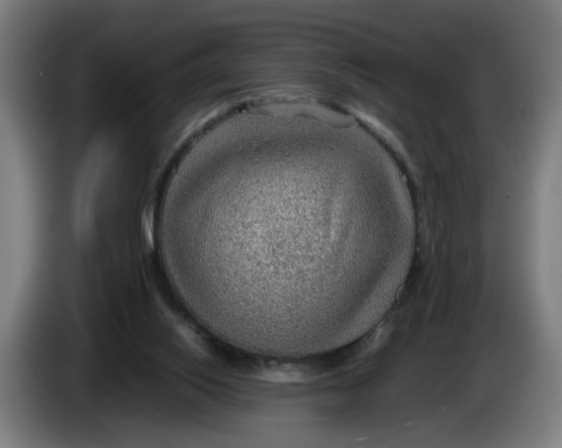 X0000086230062200704191808