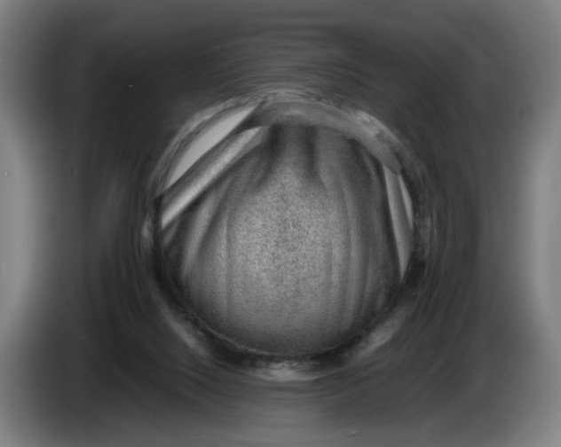 X0000086230064200704191808