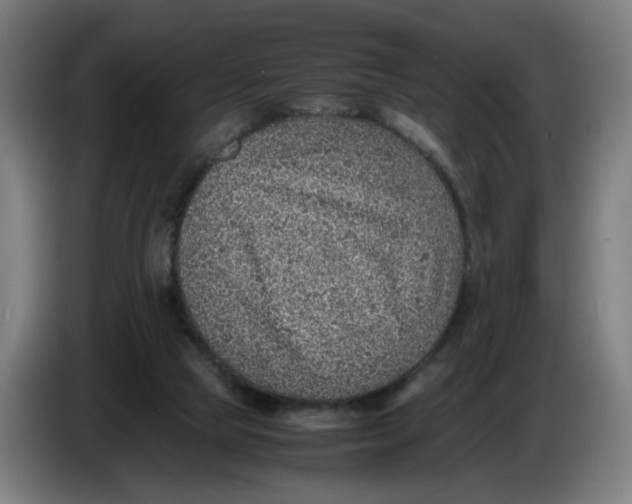 X0000086230065200704191808