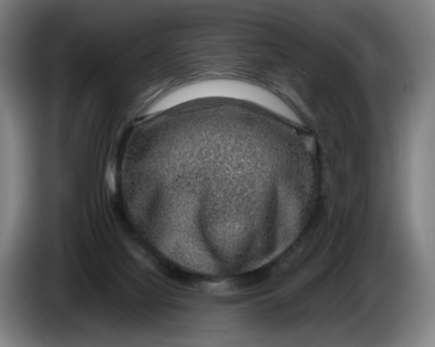 X0000086230068200704191808