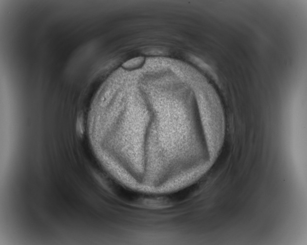 X0000086230069200704191808