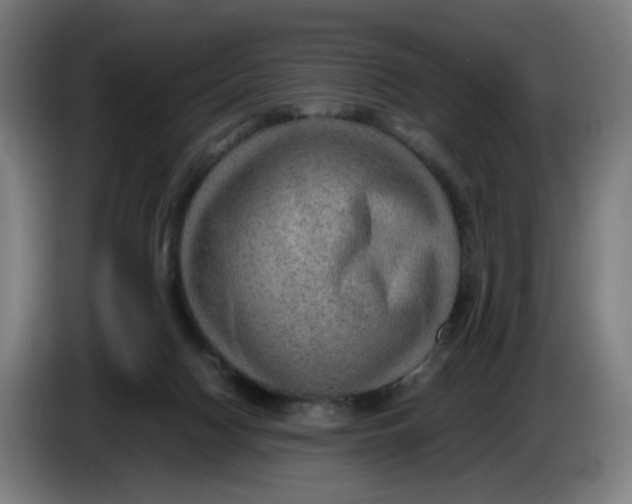 X0000086230074200704191809