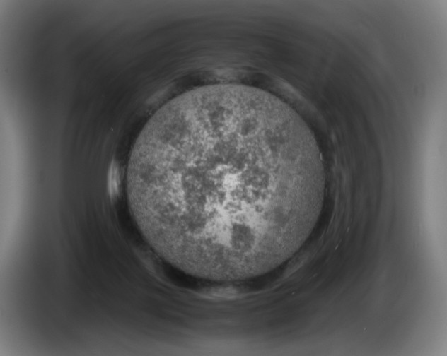 X0000086230075200704191809