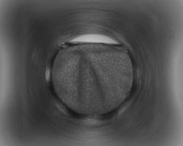 X0000086230076200704191809