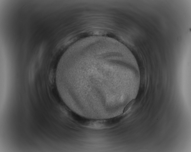 X0000086230078200704191809