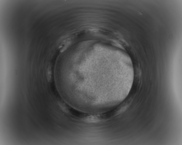 X0000086230080200704191809